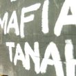 Laporan ke Panja Mafia Tanah DPR RI Capai 4.358 Aduan 