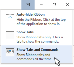 Ribbon Display Options