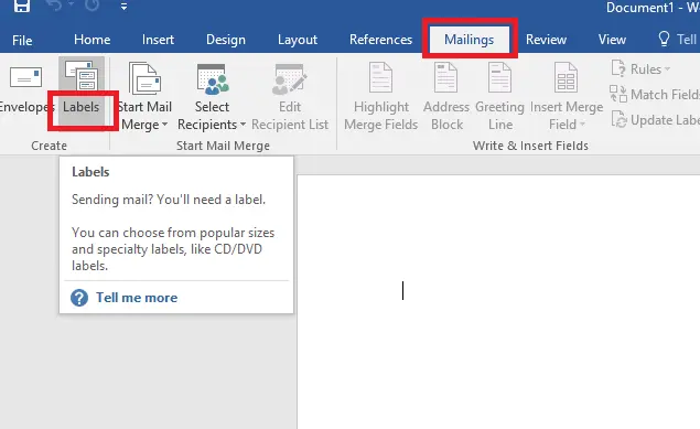 Selanjutnya tinggal pilih labels di bagian menu envelopes and label.