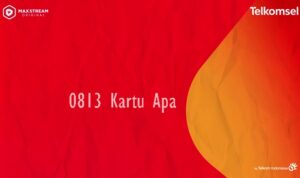 0813 Kartu Apa