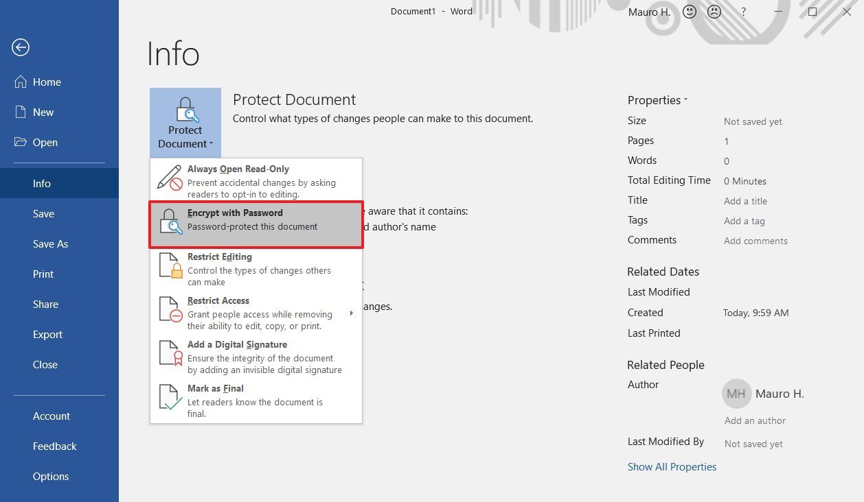 Klik Protect Your Document kemudian pilih Encrypt with Password