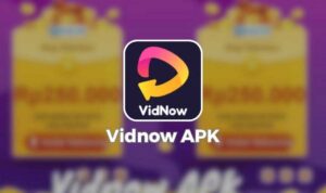 Vidnow Apk