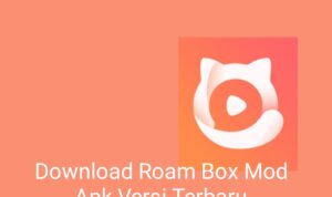 Roam Box Mod Apk